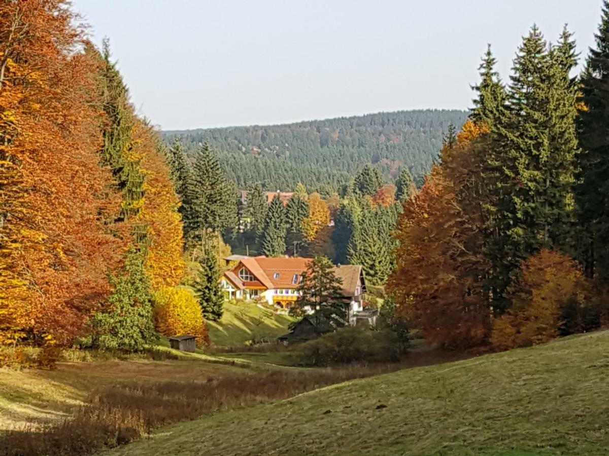 Ferienhaus Am Rennsteig Schmiedefeld am Rennsteig Eksteriør bilde